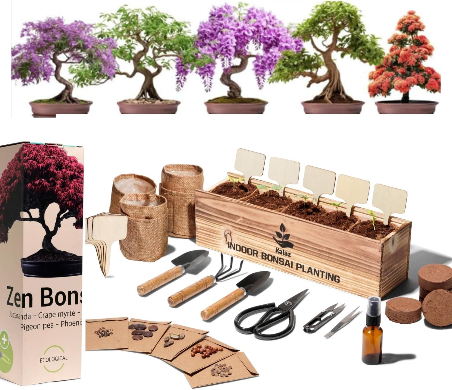 Bonsai Starter Set